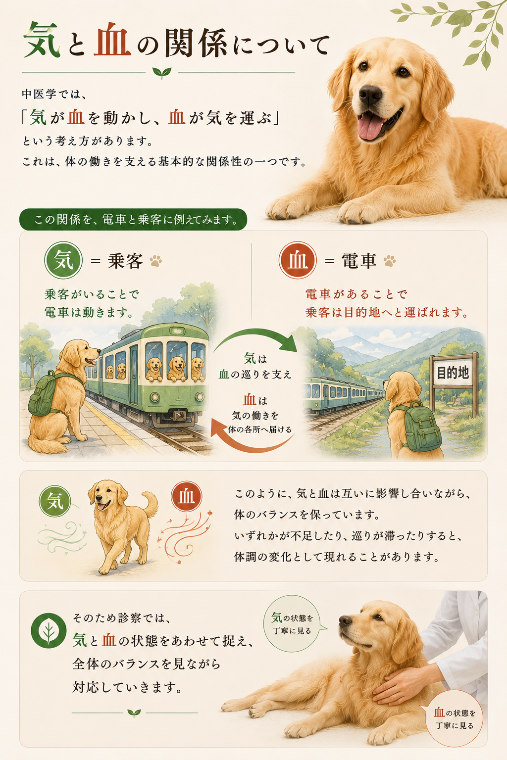 診察⑦気と血の関係HP