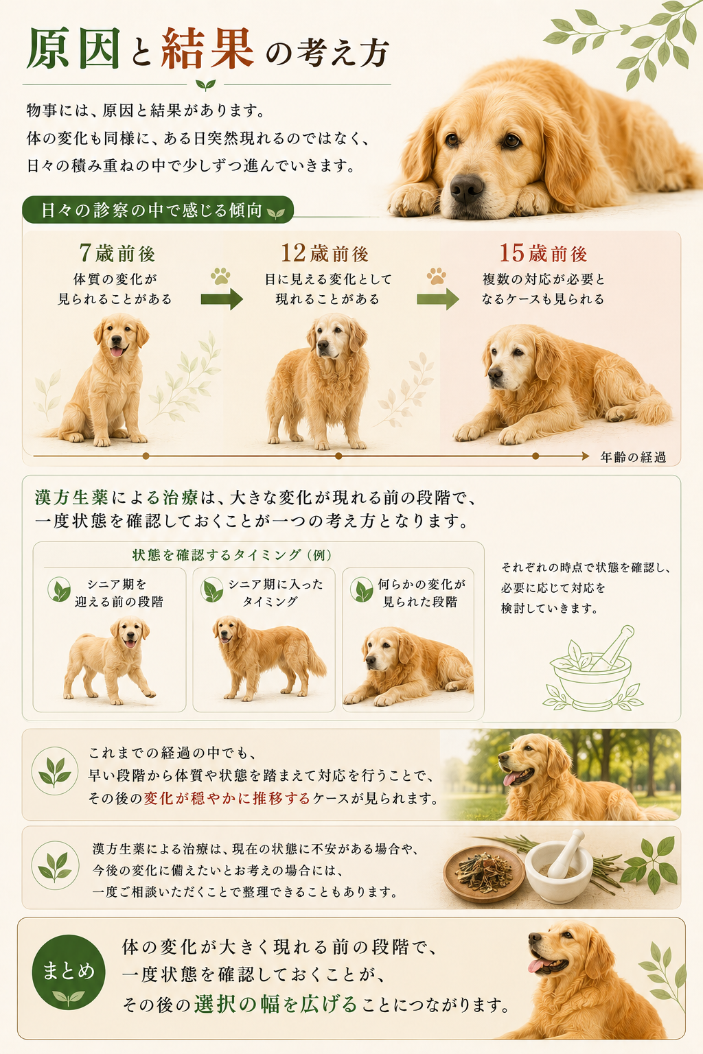 診察⑧物事に原因と結果があるHP