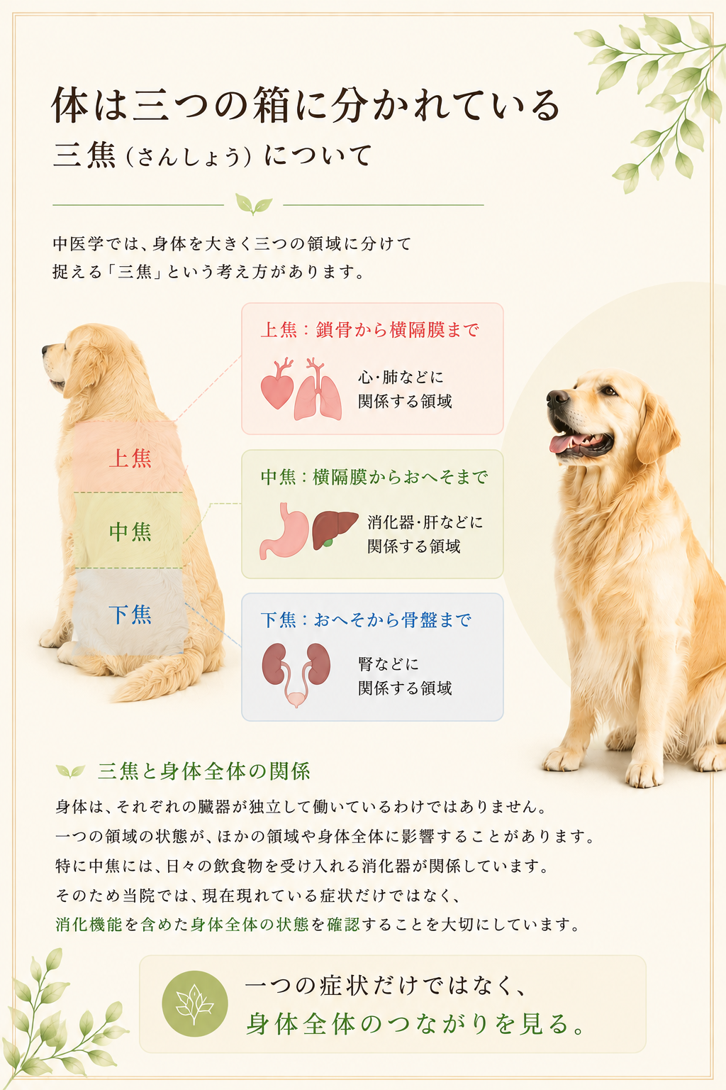 体は三つの箱に分かれているホームページ