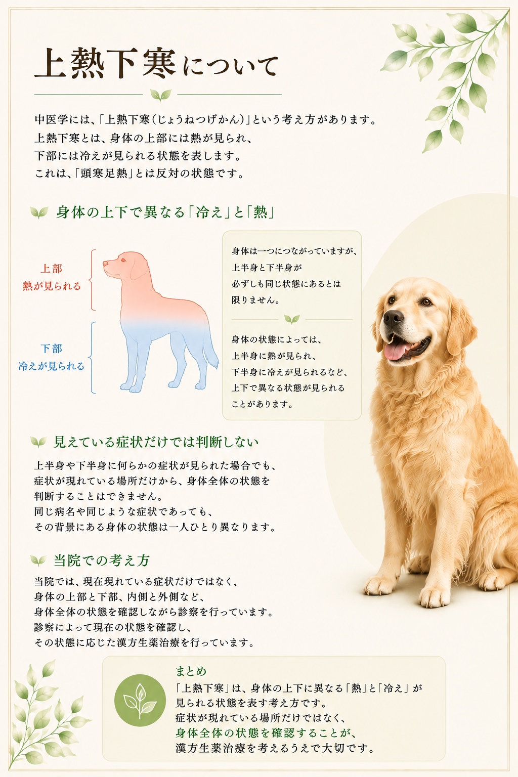 ↑熱下寒HP