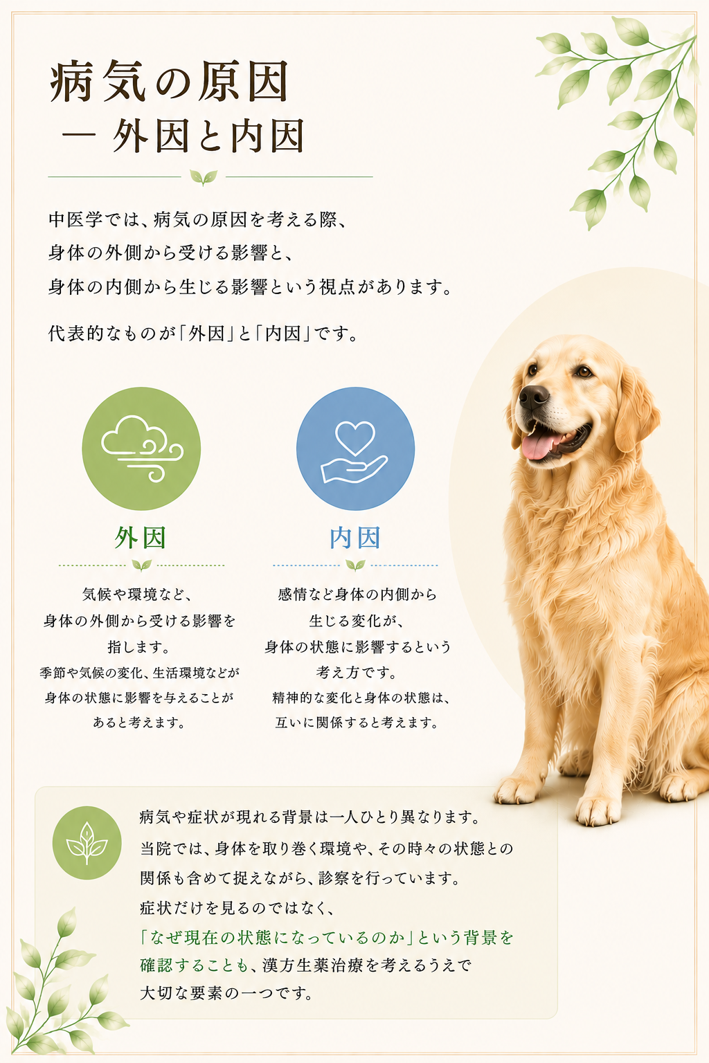 季節との関係①病気の原因HP