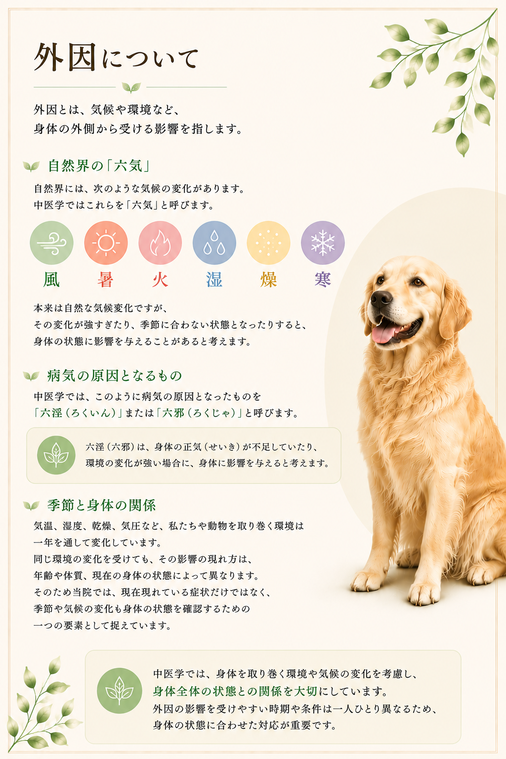 季節との関係①病気の原因-外因についてHP