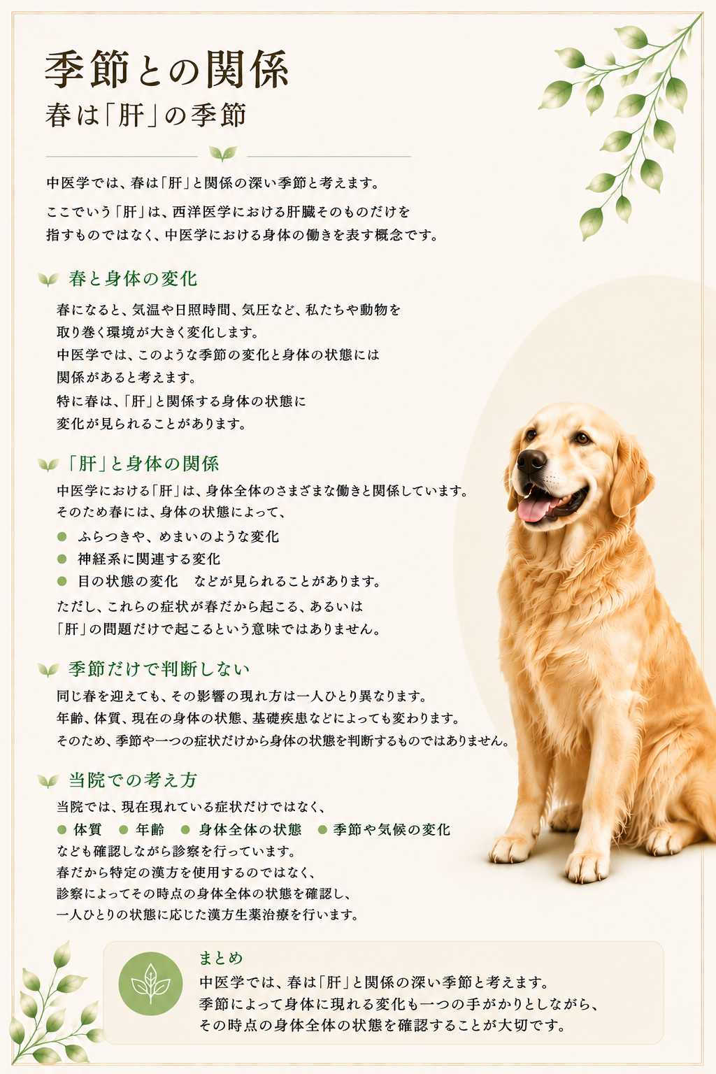 春HP