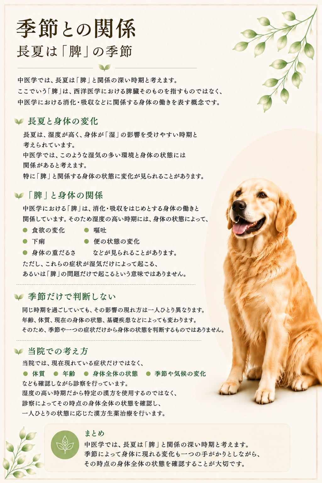長夏HP