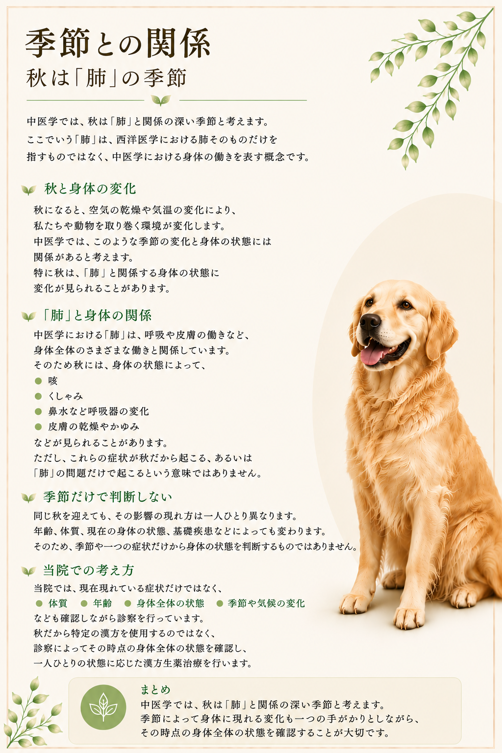 秋HP
