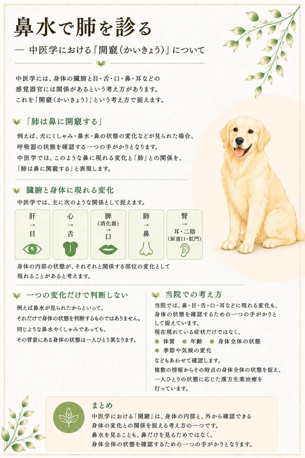 鼻肺HP