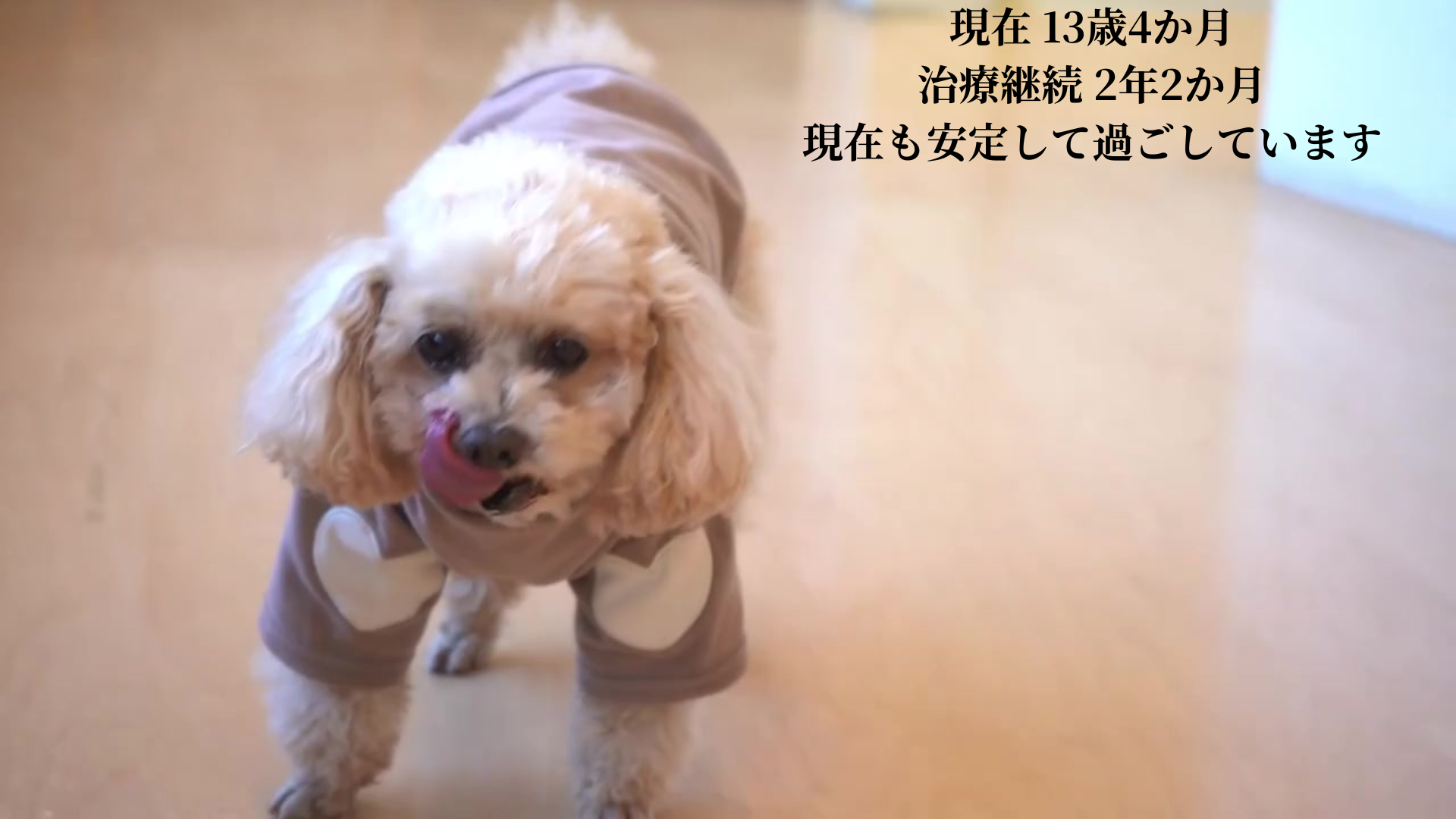 本院トップ画像