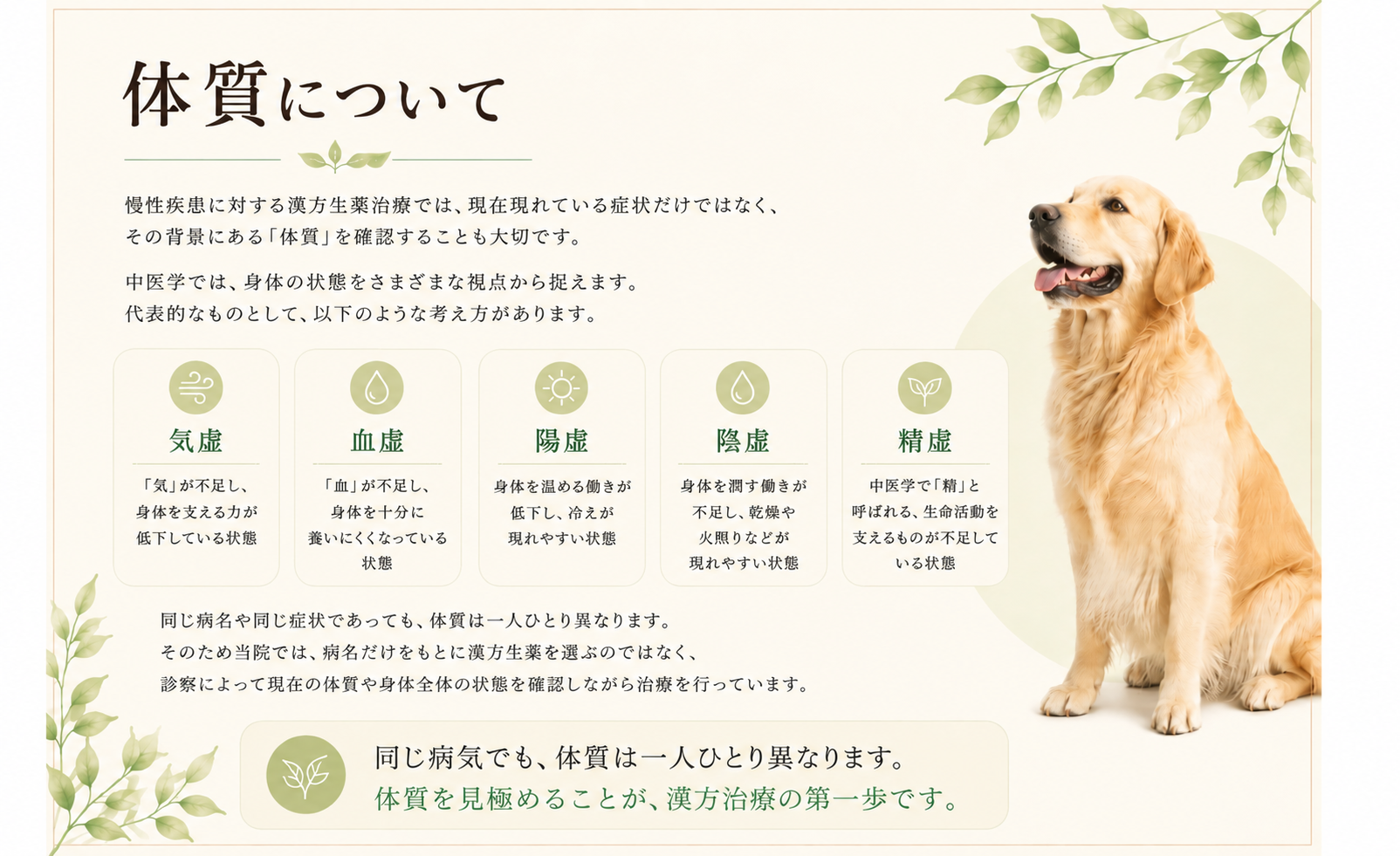 やさしい漢方体質ガイドと笑顔の犬