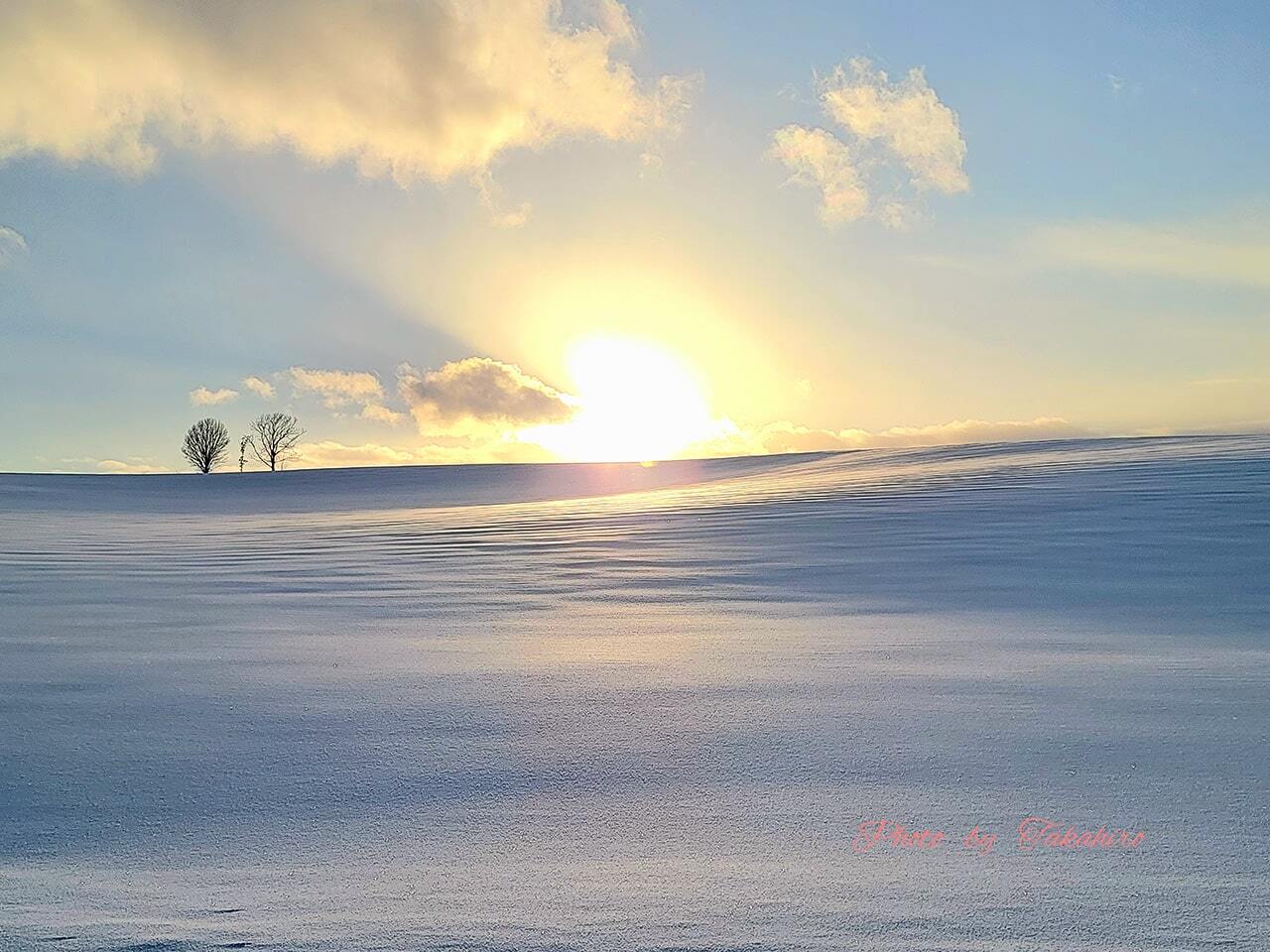No.7-親子の木