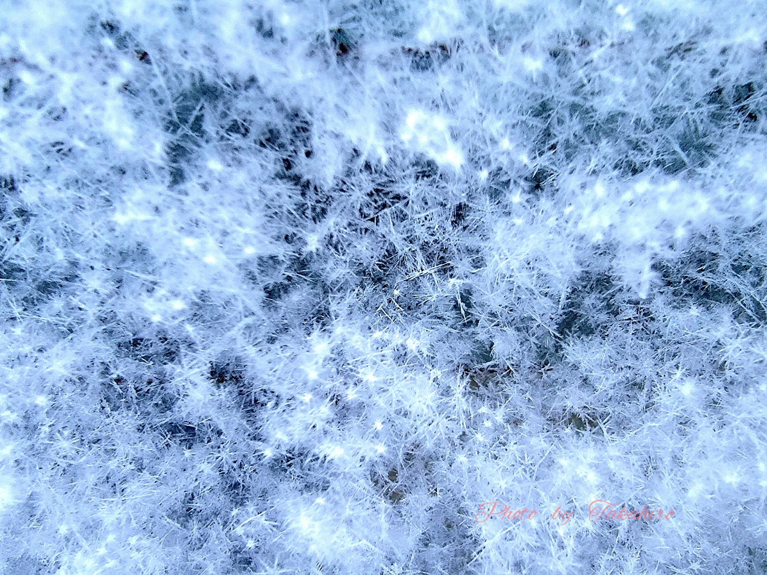 №29　雪の結晶