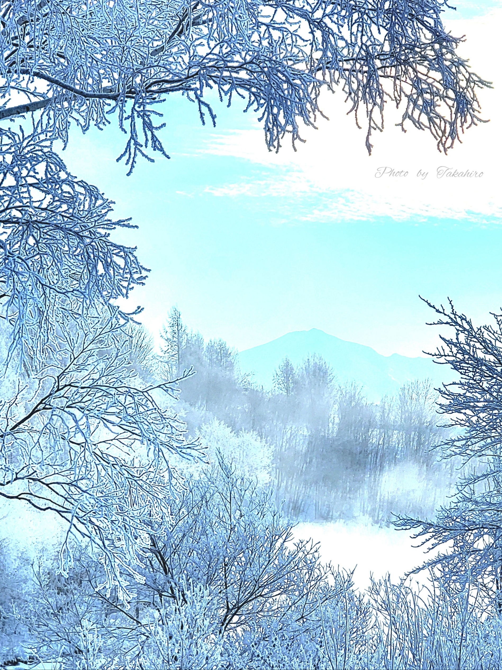 №38　樹氷