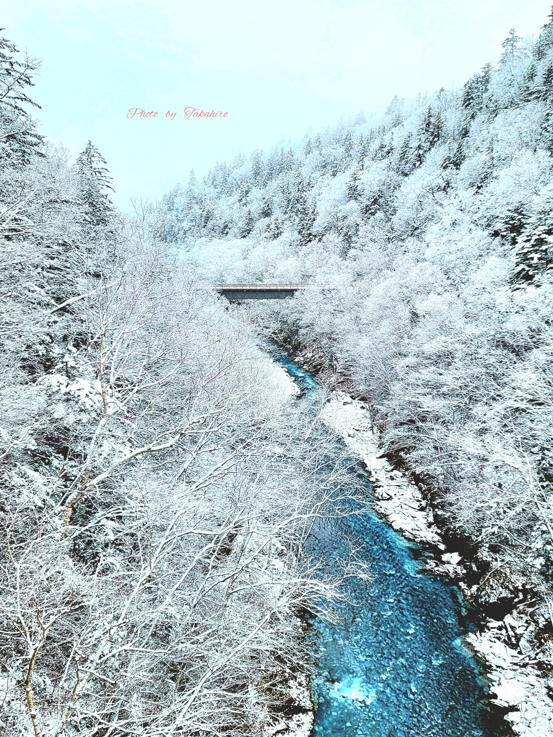 №51　初雪の美瑛川渓谷