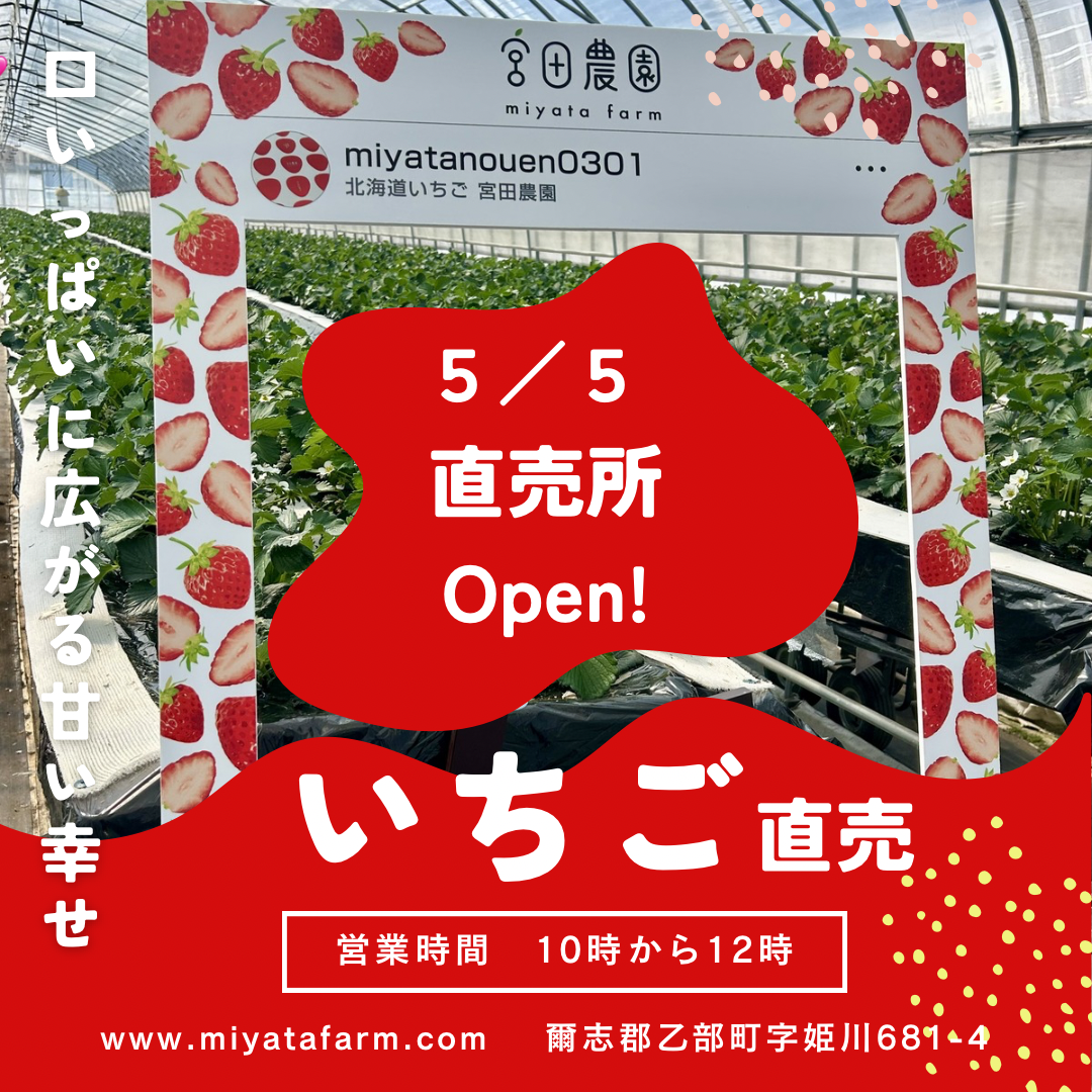 グリーン　レッド　シンプル　いちご狩り　インスタグラム投稿