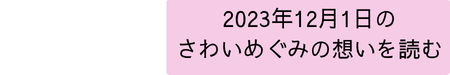 2023年12月1日 立候補時に書いたさわいめぐみの想い-4