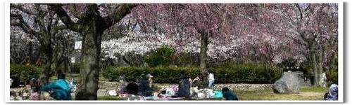カフェ会 名古屋 愛知の少人数カフェ交流会で友達作り 東海アミィ カフェ会 名古屋 愛知の少人数カフェ交流会で友達作り 東海アミィ