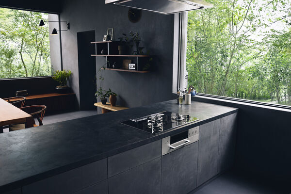 24デリシア_斜め_CMイメージ_コピー