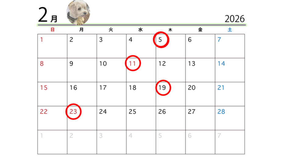 スクリーンショット (2)