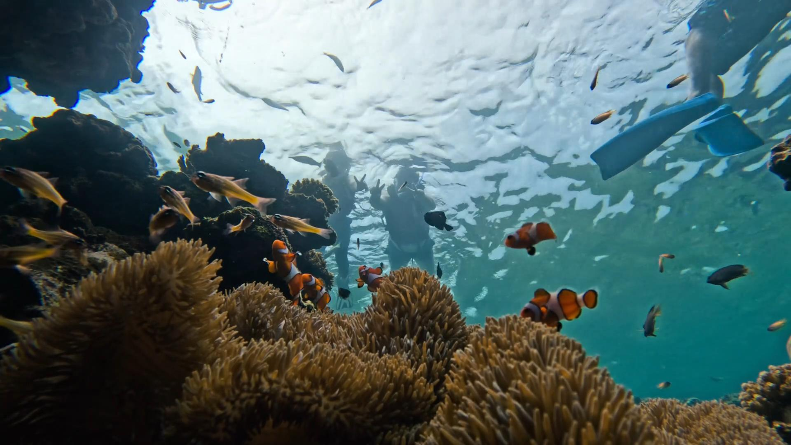 Shotcut_00_08_57_867