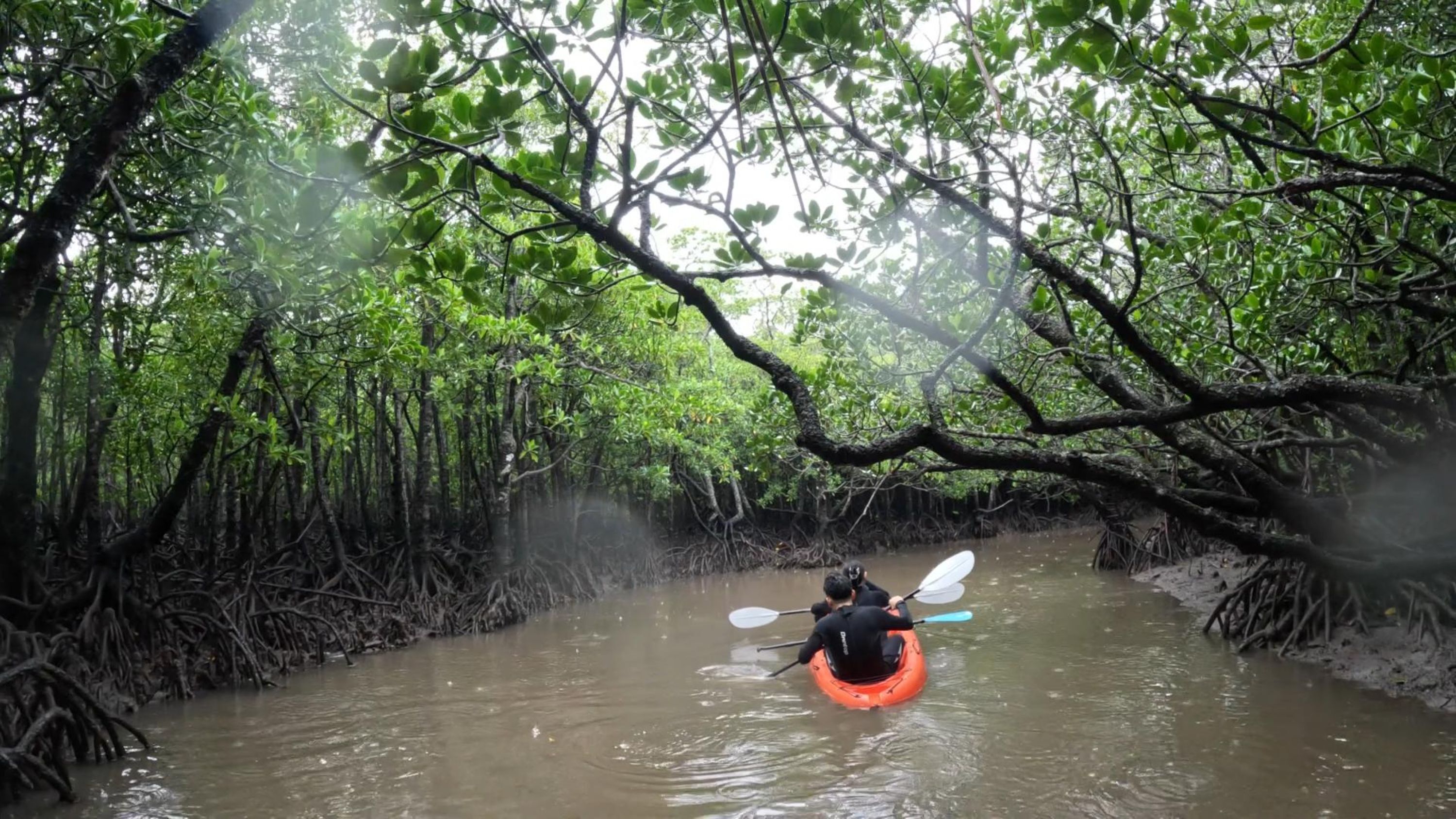 Shotcut_00_13_23_833