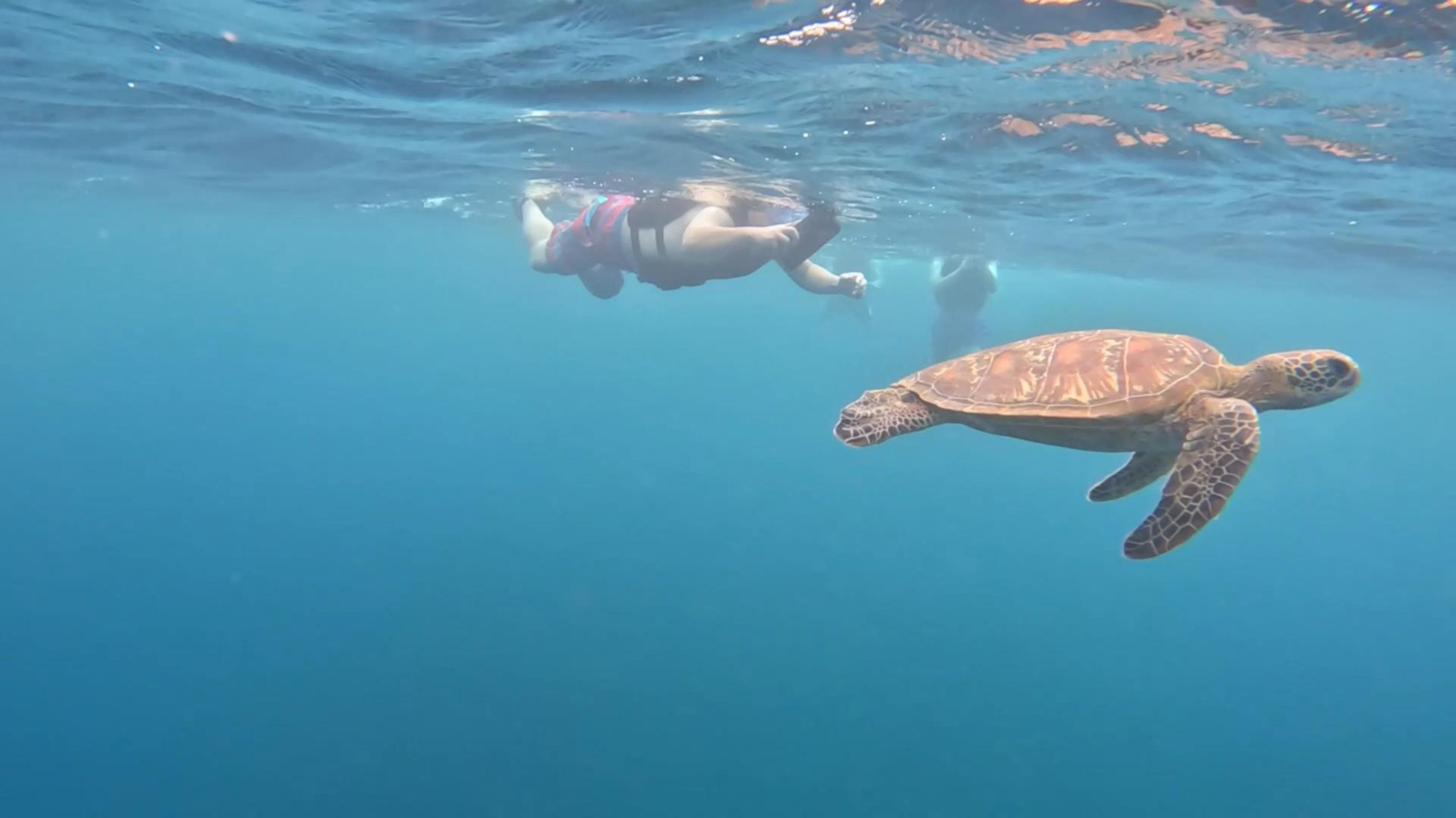 Shotcut_00_10_30_133