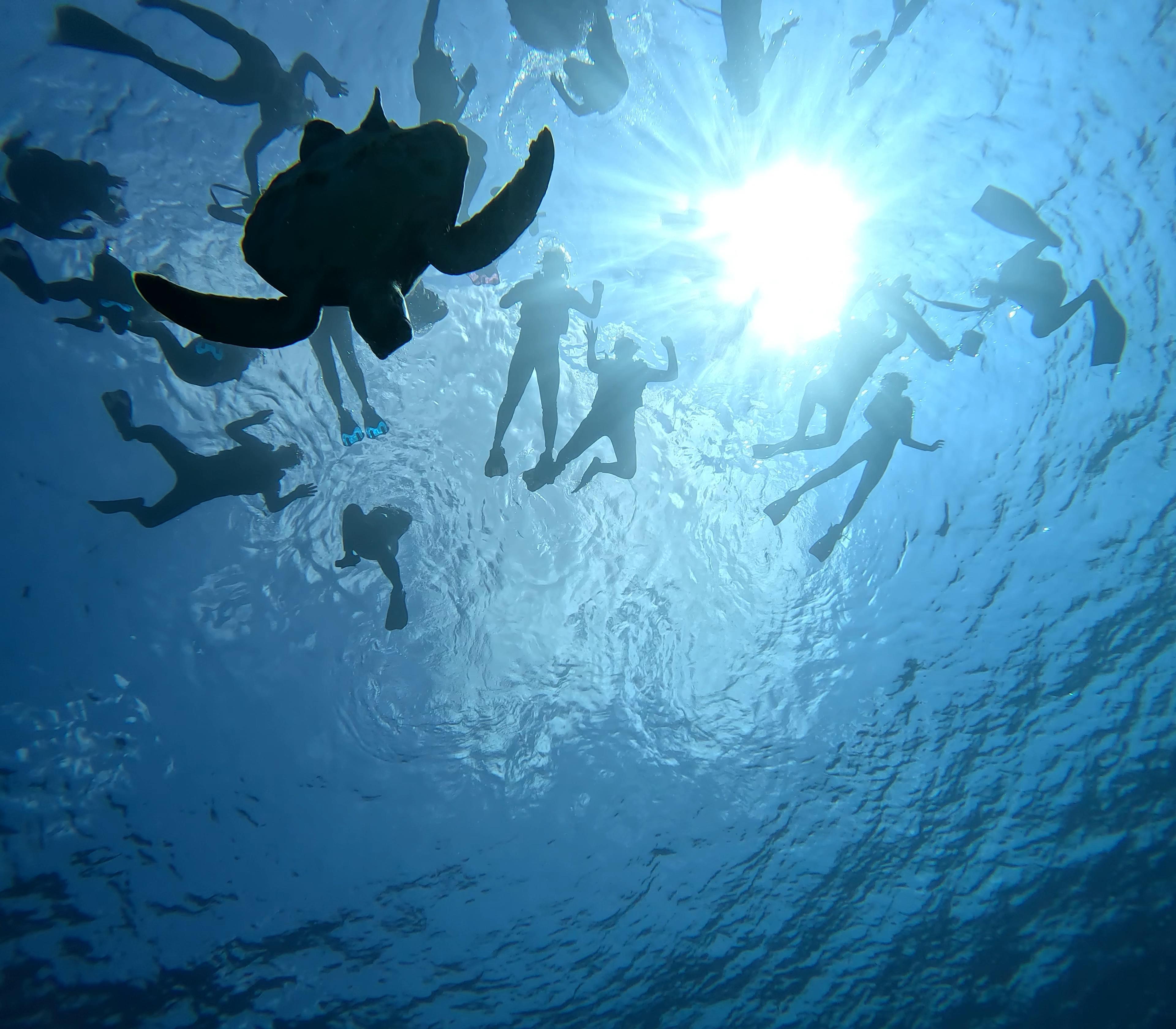 Shotcut_00_00_09_276