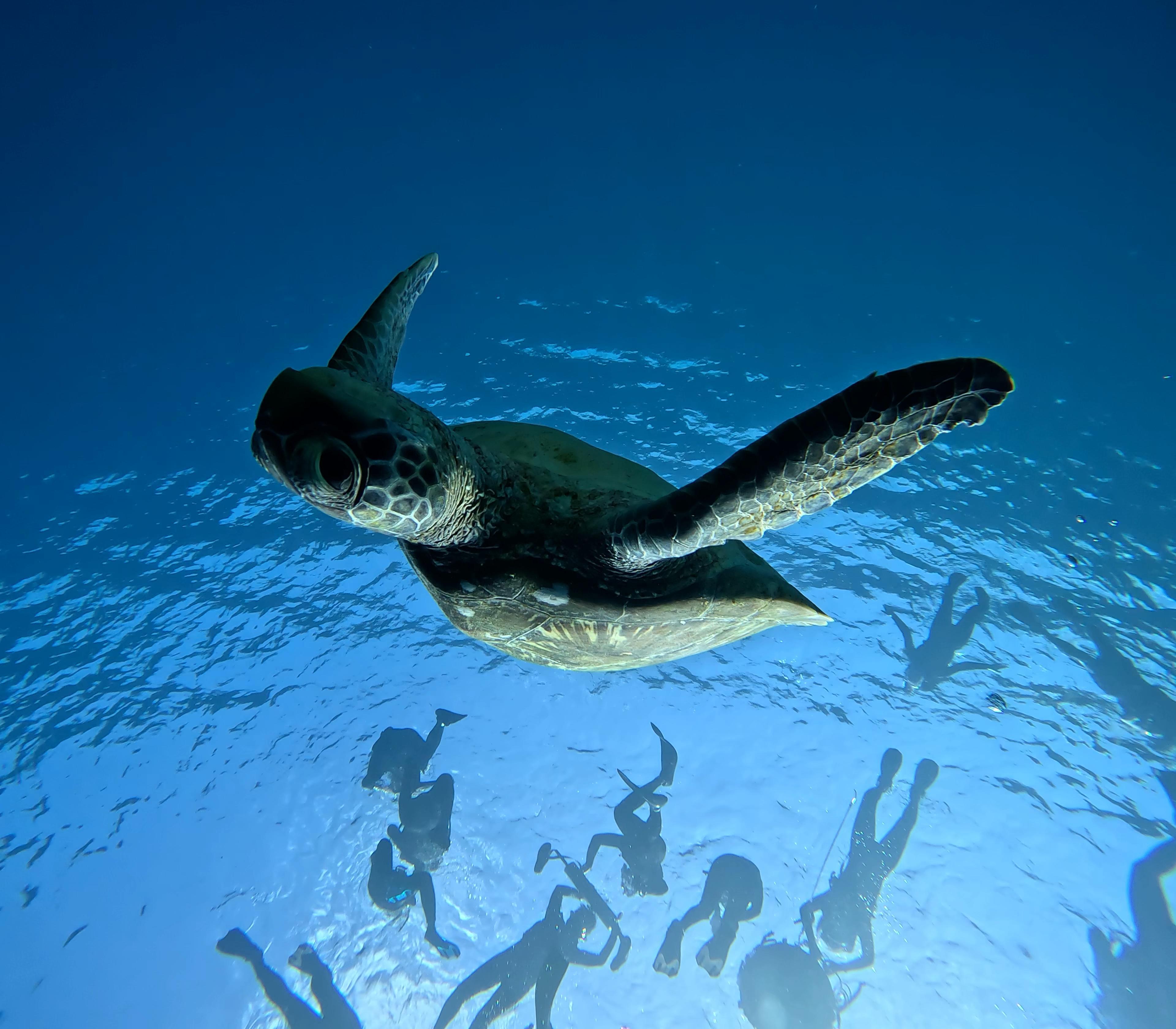 Shotcut_00_00_13_280