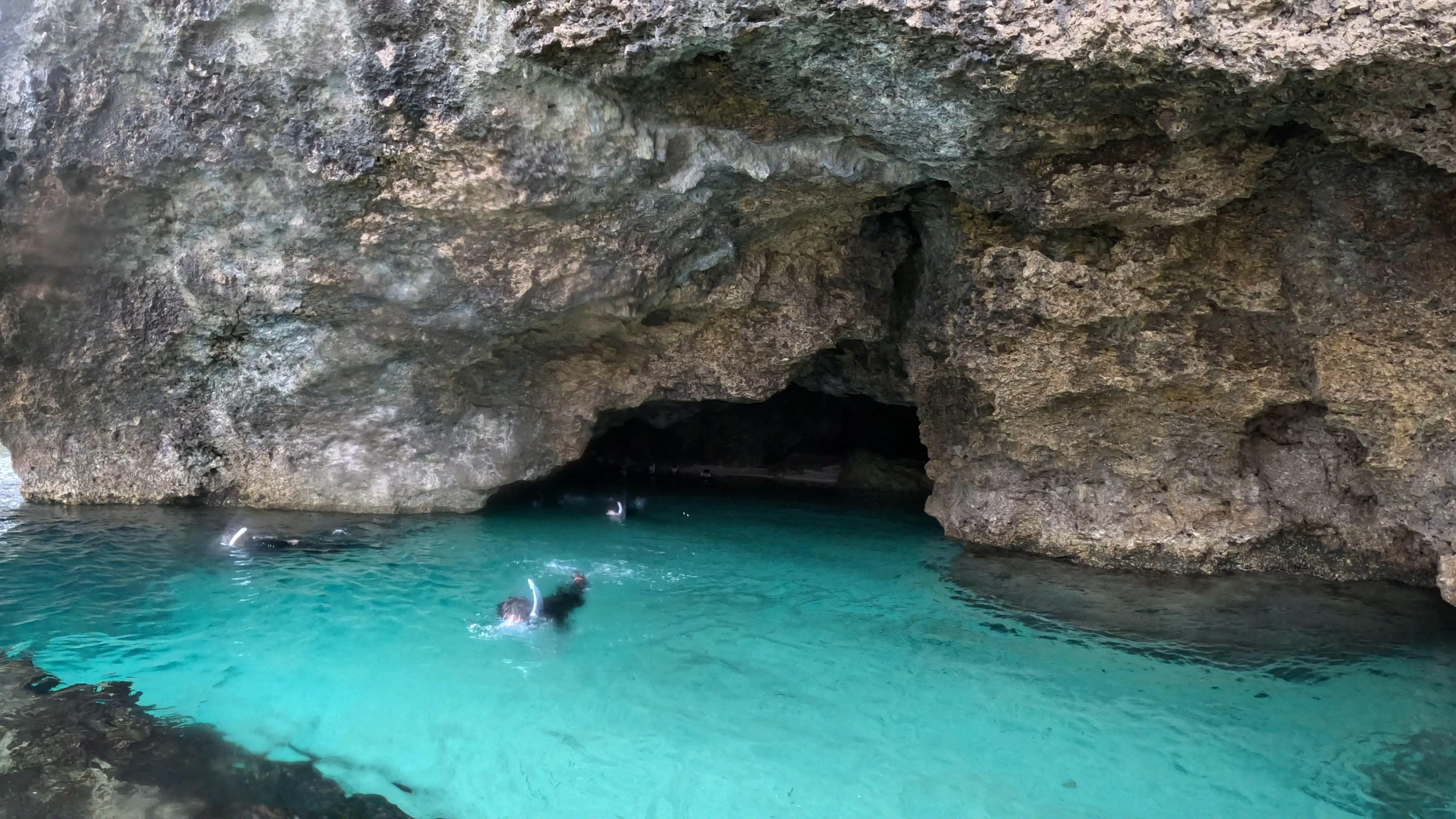 Shotcut_00_00_21_288