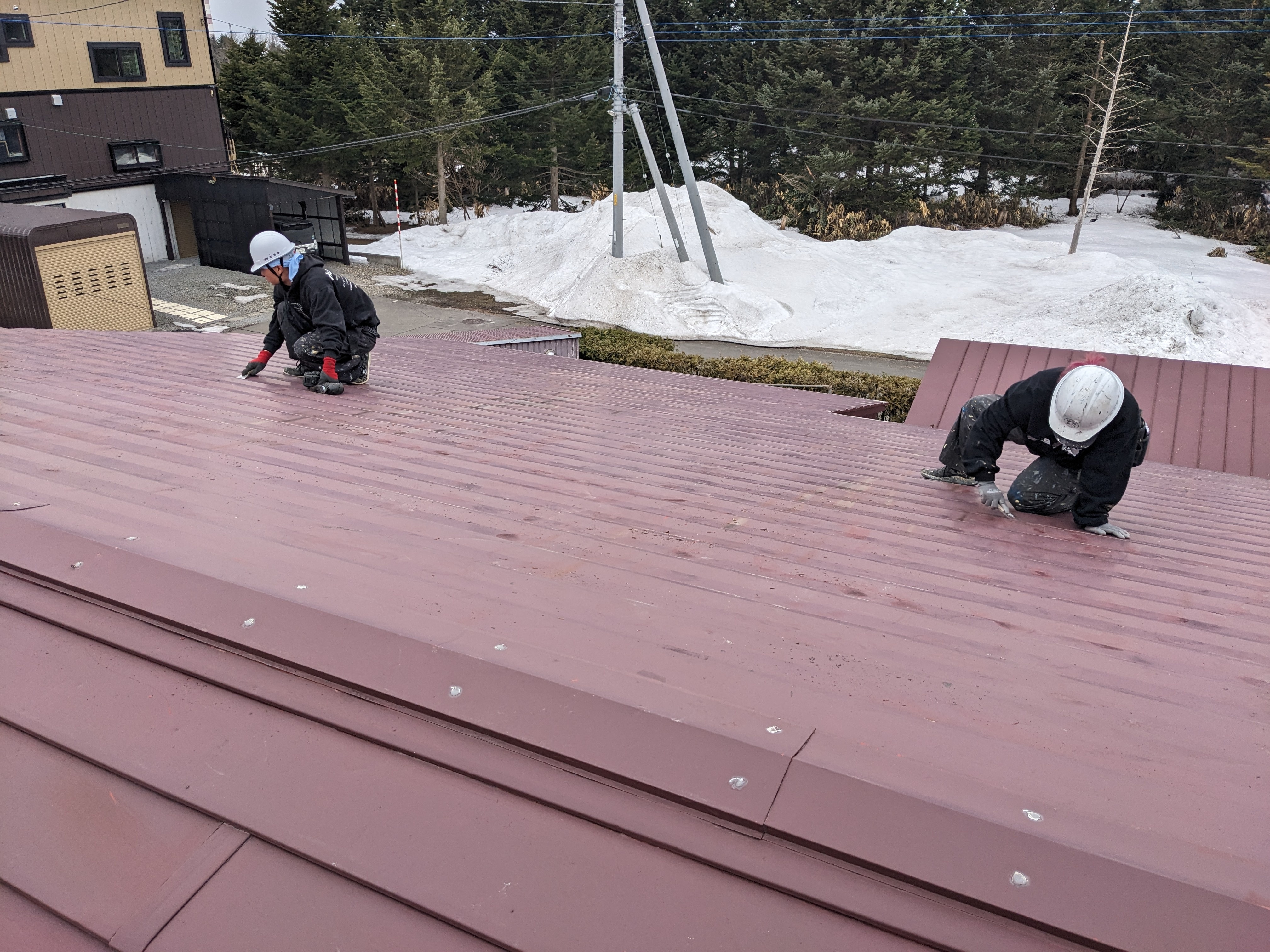 PXL_20260319_002604074