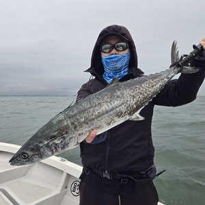 20251016_102017_コピー