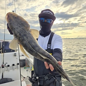 20251024_155251_コピー