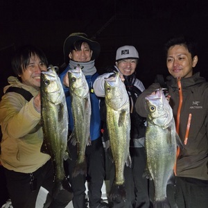 20251029_032505_コピー