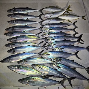 20251116_170815_コピー