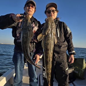 20251122_153213_コピー