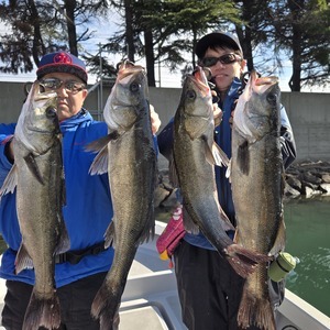 20251211_113725_コピー