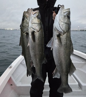 20251221_165107_コピー