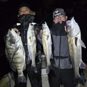 20260211_005707_コピー