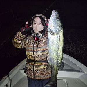 20260217_021952_コピー