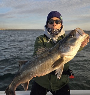 20260315_171036_コピー