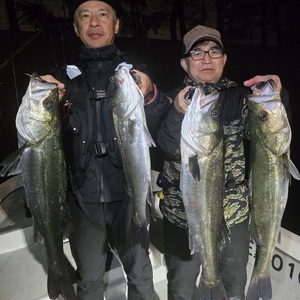 20260425_012315_コピー