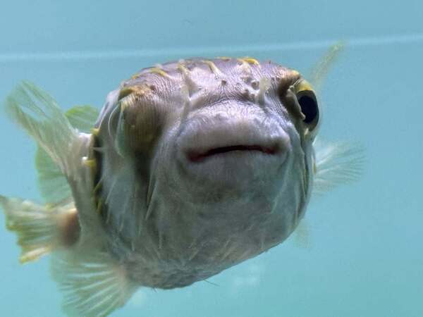 656658651_3243132042513875_2957643371811361513_n_コピー