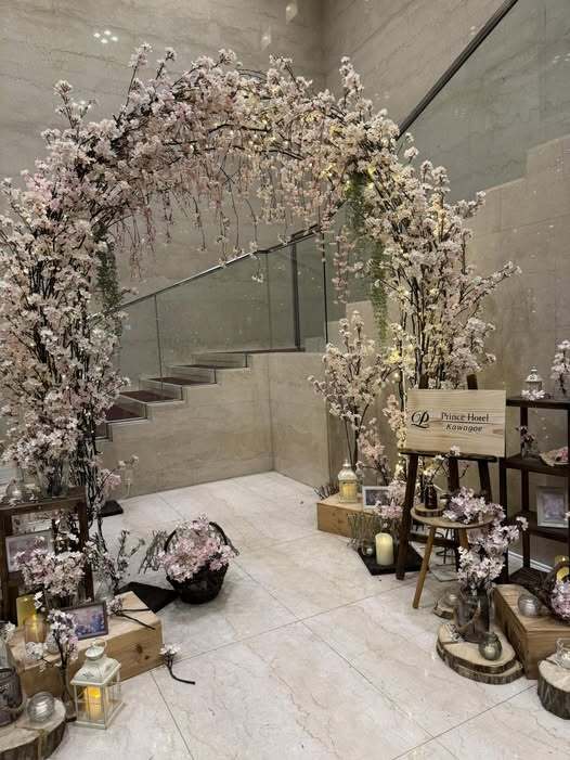 662351222_3252296171597462_9218500548301200540_n