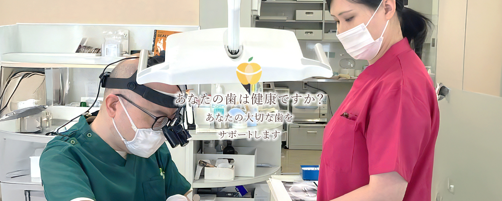 メイン画像