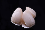 ceramic teeth_221046123
