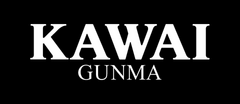 KAWAIGUNMA ロゴ480×208