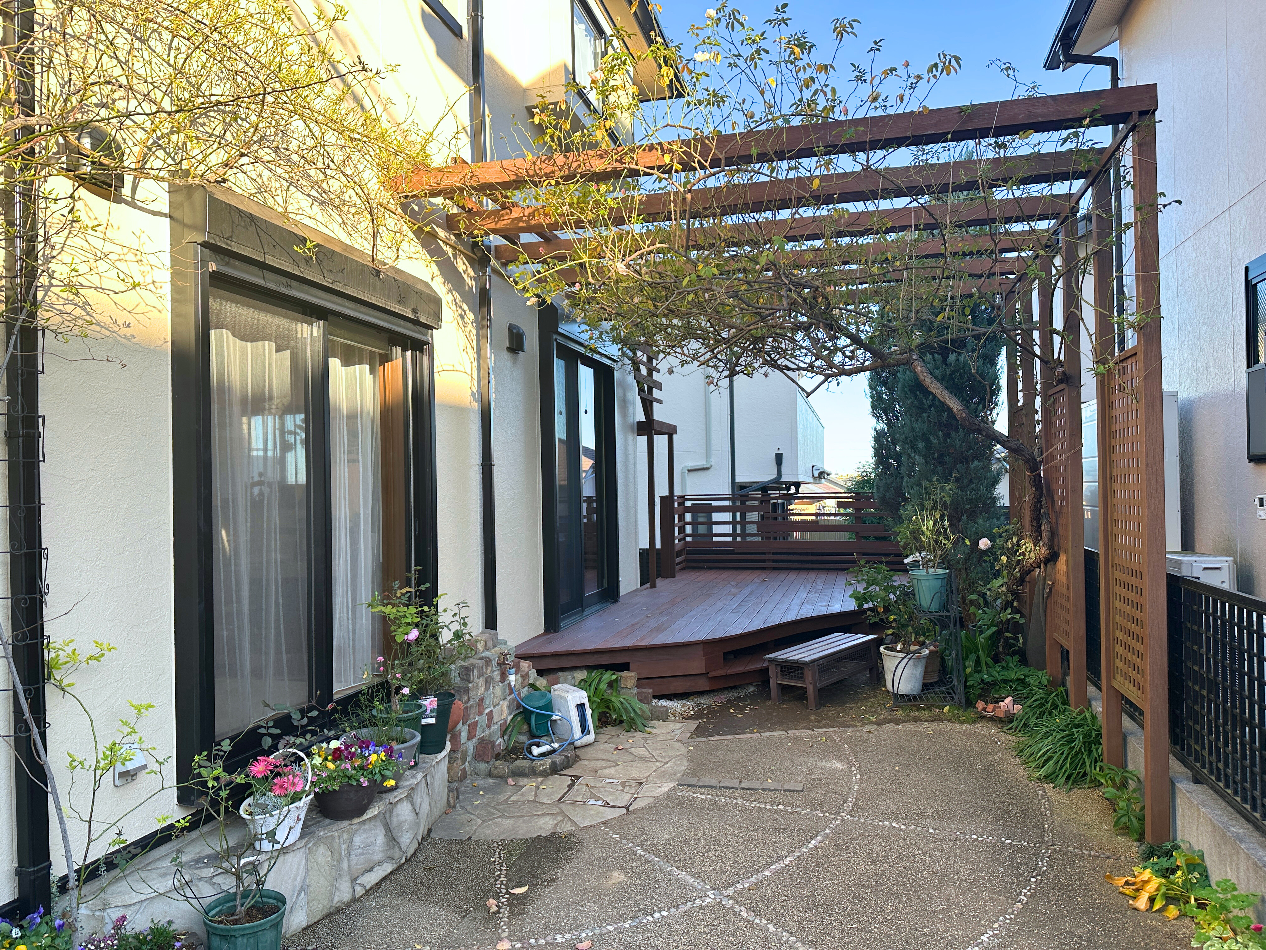 IMG_6781 - 編集済み