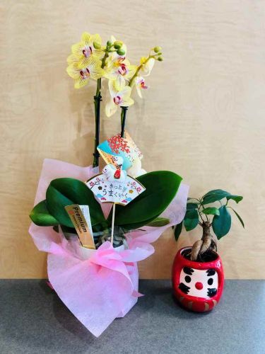 re_IMG_0957 - まの歯科