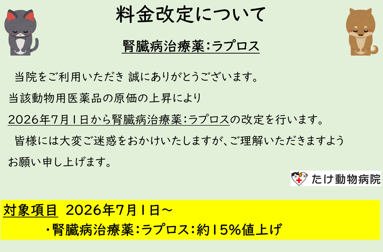 202605p