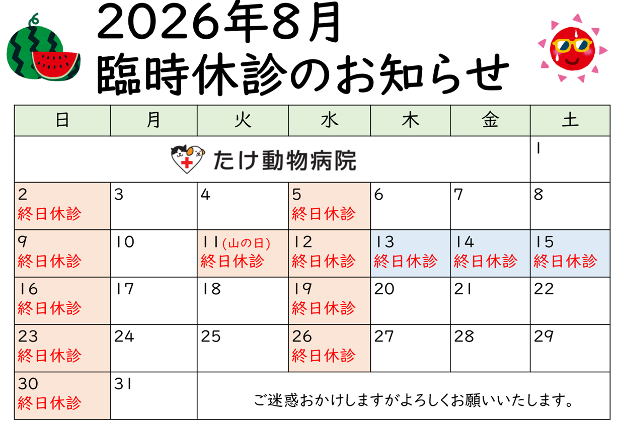 202608