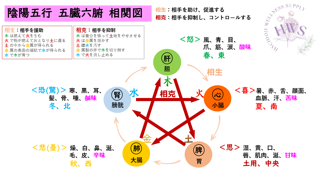 四柱推命総合鑑定|波動調整サロンななくに|株式会社八王子 四柱推命総合鑑定|波動調整サロンななくに|株式会社八王子