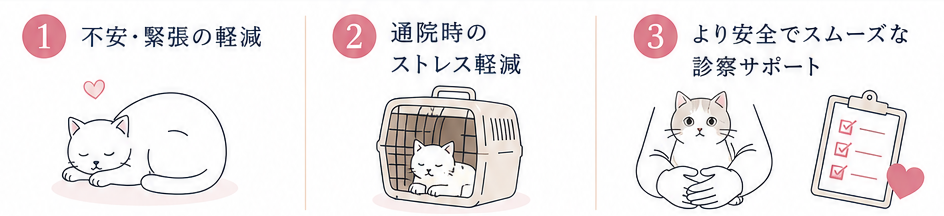 PVP猫 (2) (002)